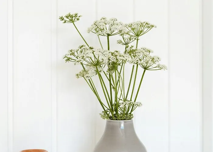 Close To Beach, Forest And Bike Trails Dom wakacyjny