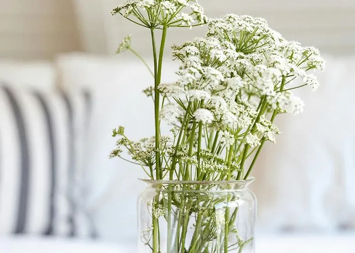 Close To Beach, Forest And Bike Trails Dom wakacyjny *